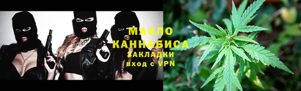индика Нижний Тагил