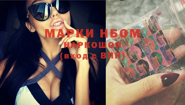 ПСИЛОЦИБИНОВЫЕ ГРИБЫ Краснослободск