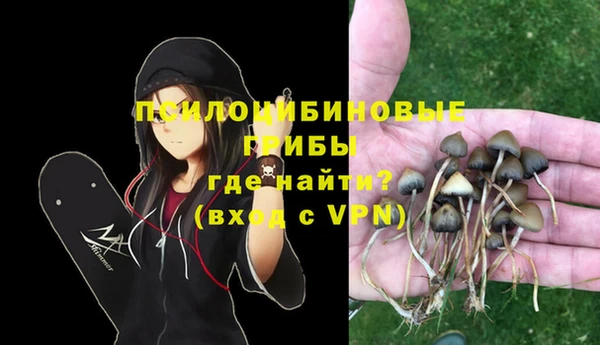дмт Архангельск