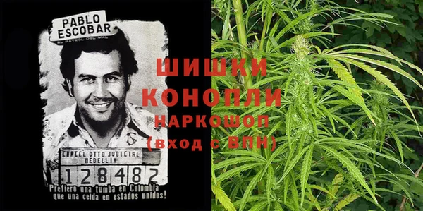 ПСИЛОЦИБИНОВЫЕ ГРИБЫ Краснослободск