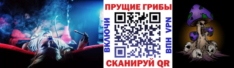 ОМГ ОМГ ТОР  Ярославль  Псилоцибиновые грибы MAGIC MUSHROOMS  где продают  
