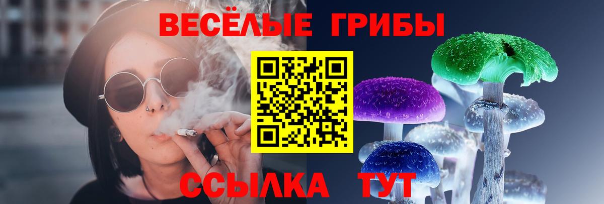 Ярославль  Галлюциногенные грибы Psilocybe  Вход с VPN  Псилоцибиновые грибы GOLDEN TEACHER 