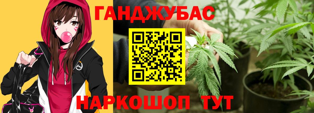 Ярославль  МАРИХУАНА сатива  Каннабис план  Вход с VPN 